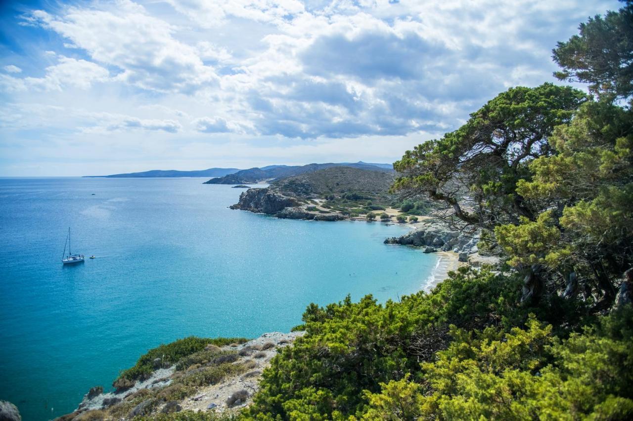 Olive Coast Suites Palekastro Exteriör bild