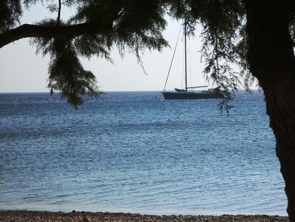 Olive Coast Suites Palekastro Exteriör bild