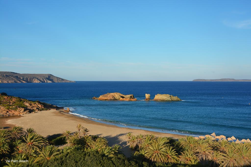 Olive Coast Suites Palekastro Exteriör bild