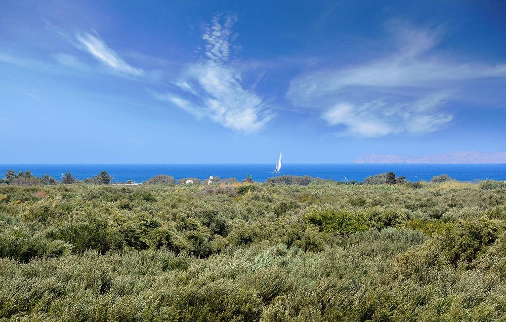 Olive Coast Suites Palekastro Exteriör bild